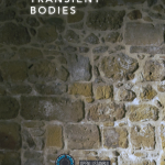 Screenshot_2018-09-07 Transient-bodies-booklet-to-be-printed pdf